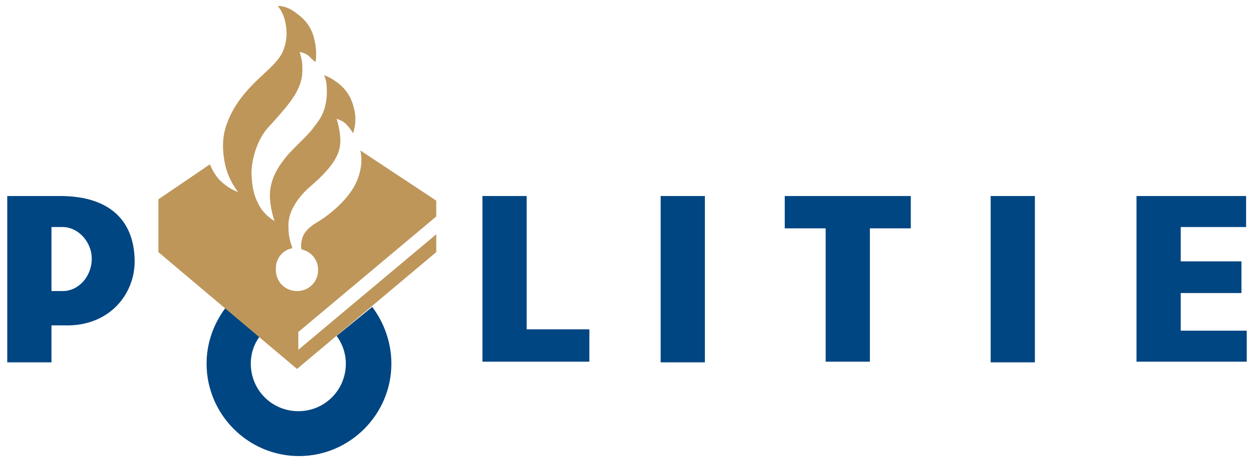 Customer logo to deliver software development to, on time and within budget